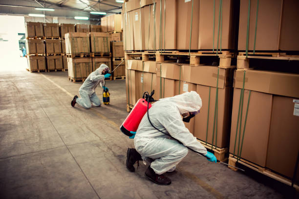 Best Emergency Pest Control  in Hartford, MI
