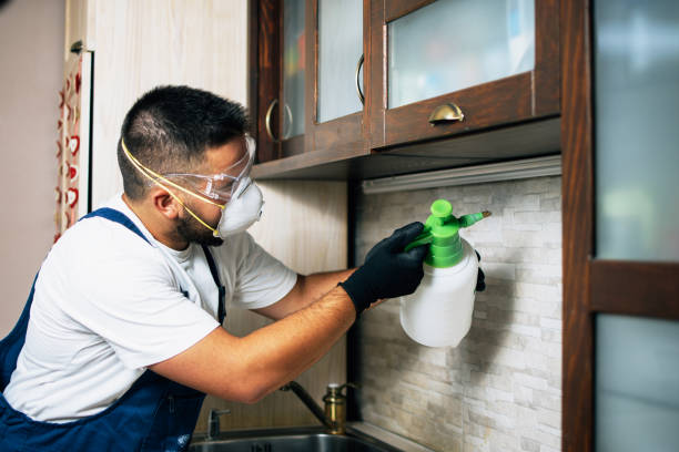 Best Affordable Pest Control Services  in Hartford, MI