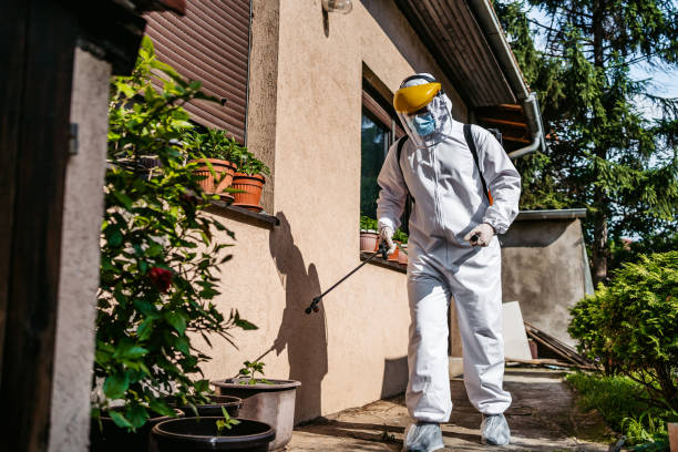 Best Wasp Removal Services  in Hartford, MI