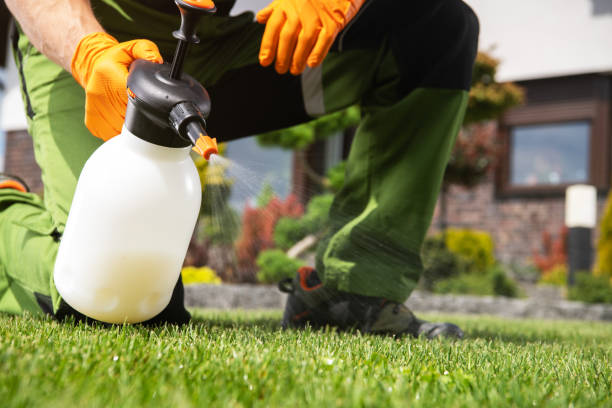 Best Cockroach Control Services  in Hartford, MI