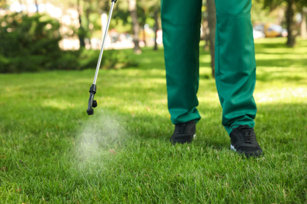 Trusted Hartford, MI Pest Control Experts