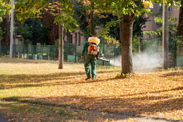 Best Residential Pest Control  in Hartford, MI