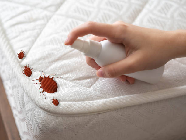 Best Wasp Removal Services  in Hartford, MI