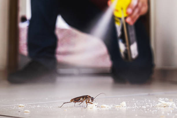 Best Affordable Pest Control Services  in Hartford, MI