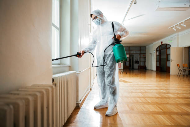 Best Local Pest Control Services  in Hartford, MI