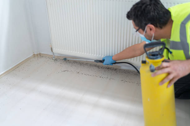 Best Flea Control Services  in Hartford, MI
