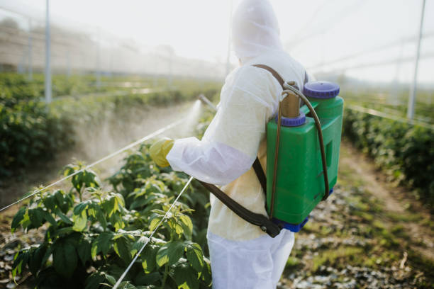 Best Insect Control  in Hartford, MI